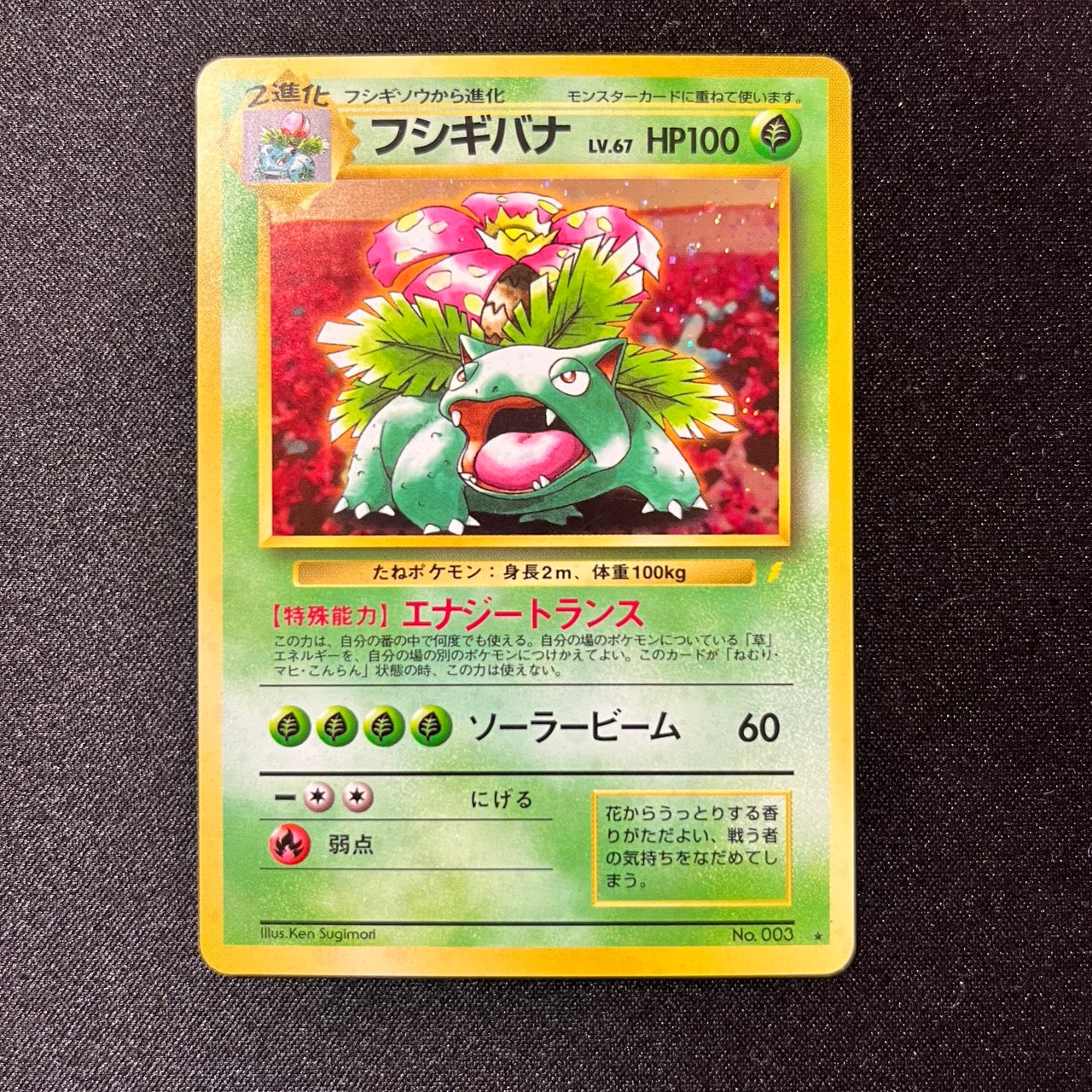 【✅Price⤵︎】 Venusaur 003 CD Promo 1998 Holo [NM-] (#128)