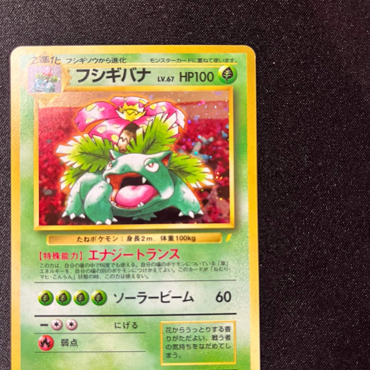 【✅Price⤵︎】 Venusaur 003 CD Promo 1998 Holo [NM-] (#128)