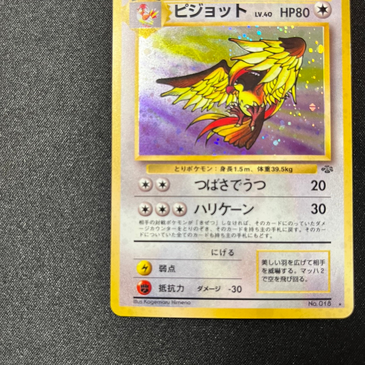 Pidgeot 018 Jungle Set Old Back [EX--] (#133)