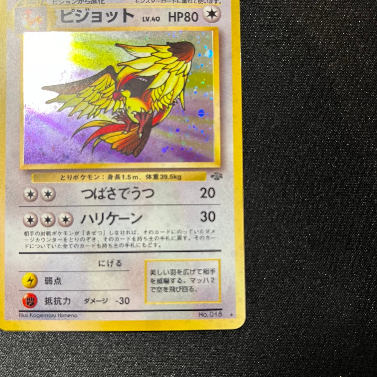 Pidgeot 018 Jungle Set Old Back [EX--] (#133)