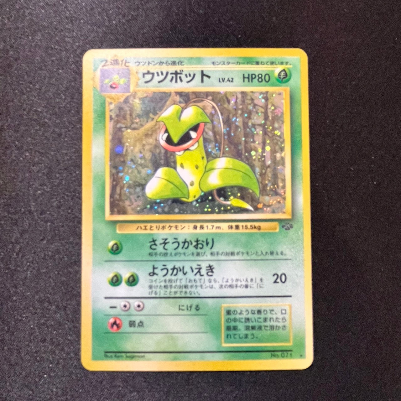 Victreebel 071 Jungle Set Old Back [EX] (#139)