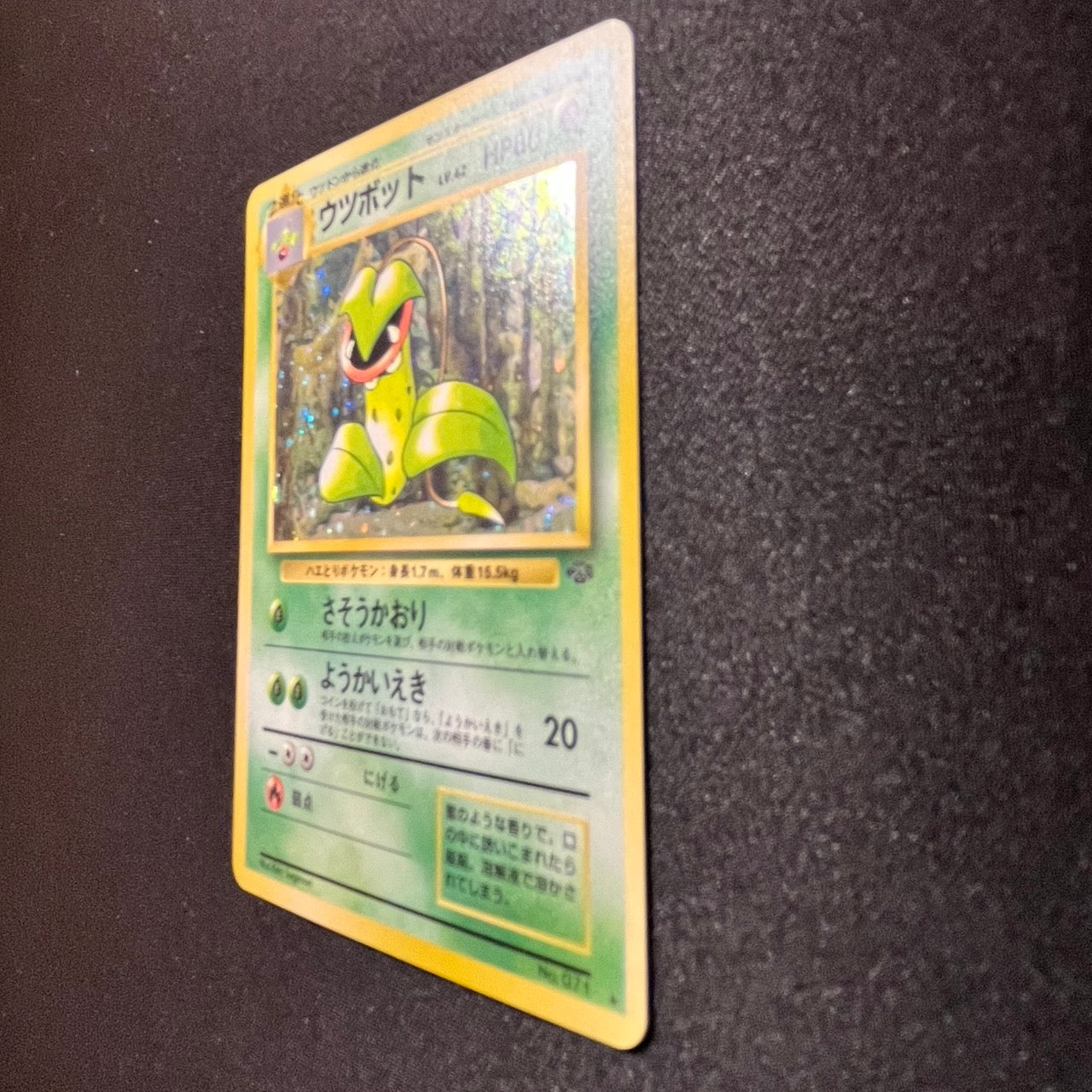 Victreebel 071 Jungle Set Old Back [EX] (#139)