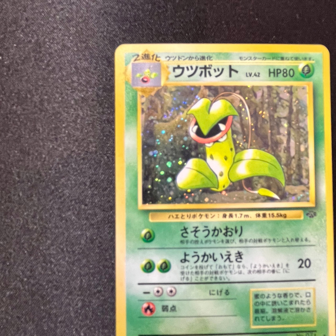 Victreebel 071 Jungle Set Old Back [EX] (#139)