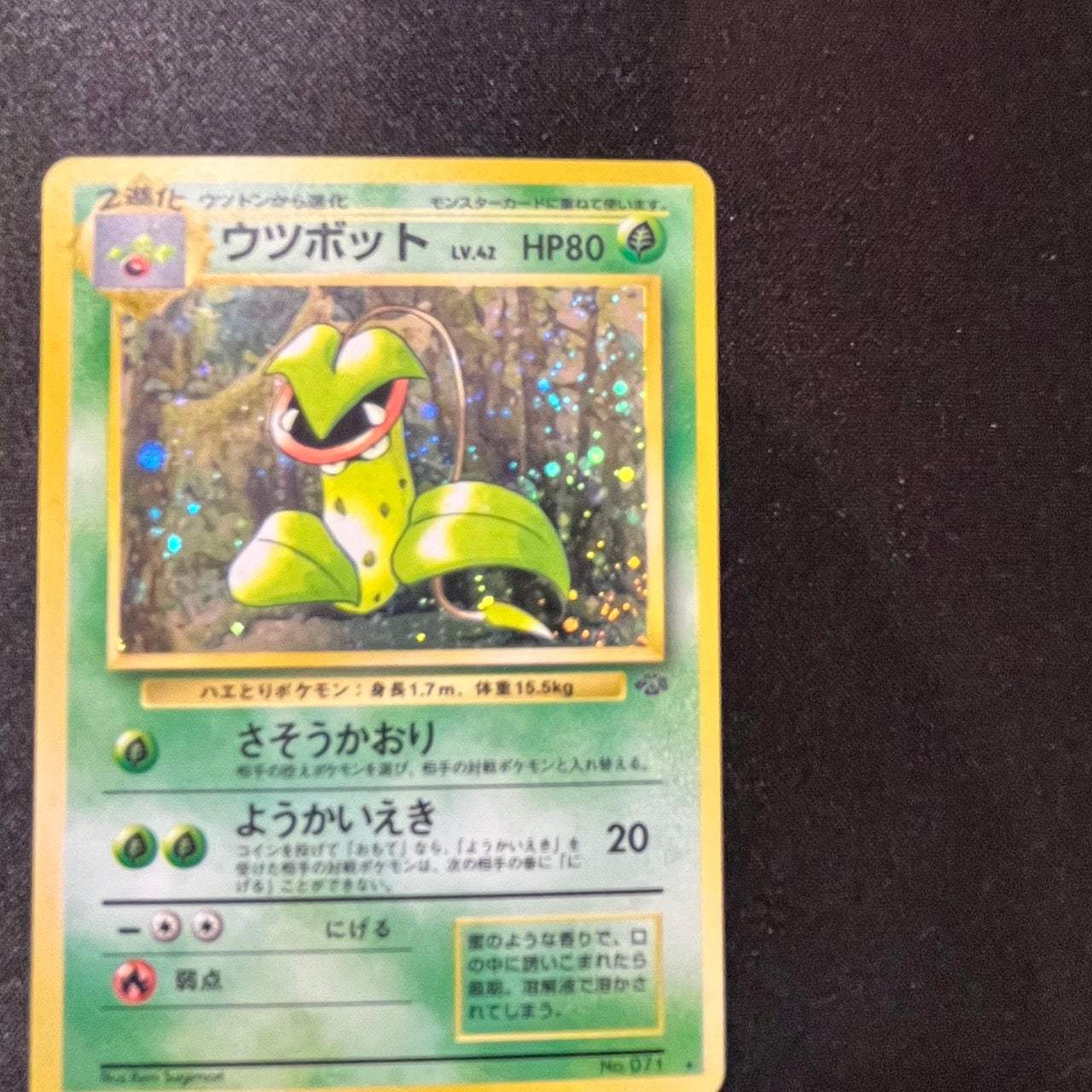 Victreebel 071 Jungle Set Old Back [EX] (#139)