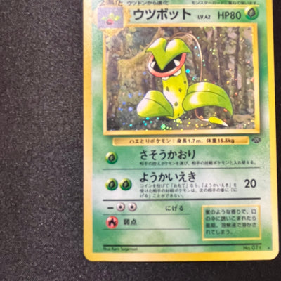 Victreebel 071 Jungle Set Old Back [EX] (#139)