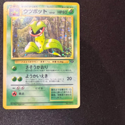 Victreebel 071 Jungle Set Old Back [EX] (#139)