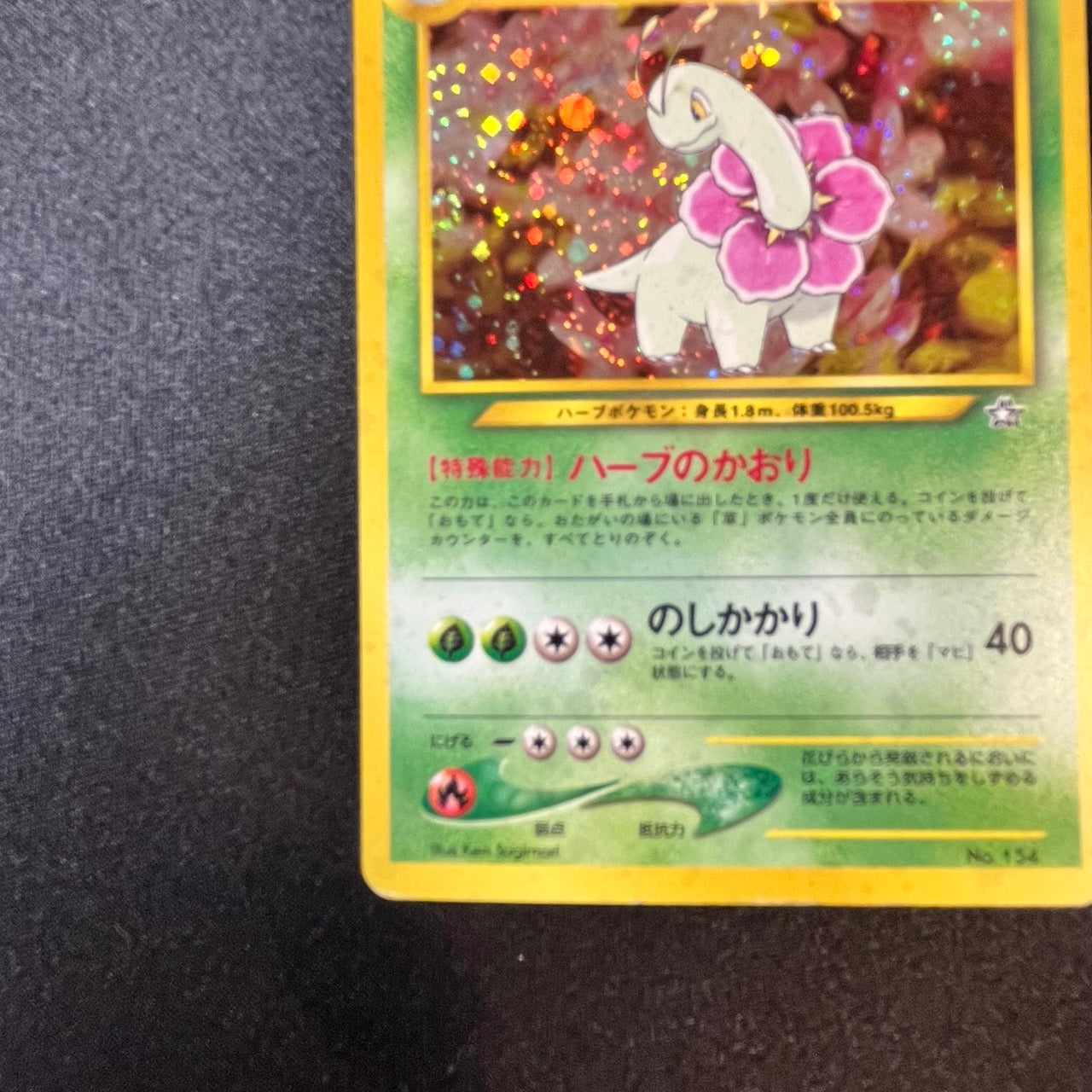 [Swirl] Meganium 154 Neo Premium File Holo Old Back [LP-] (#144)