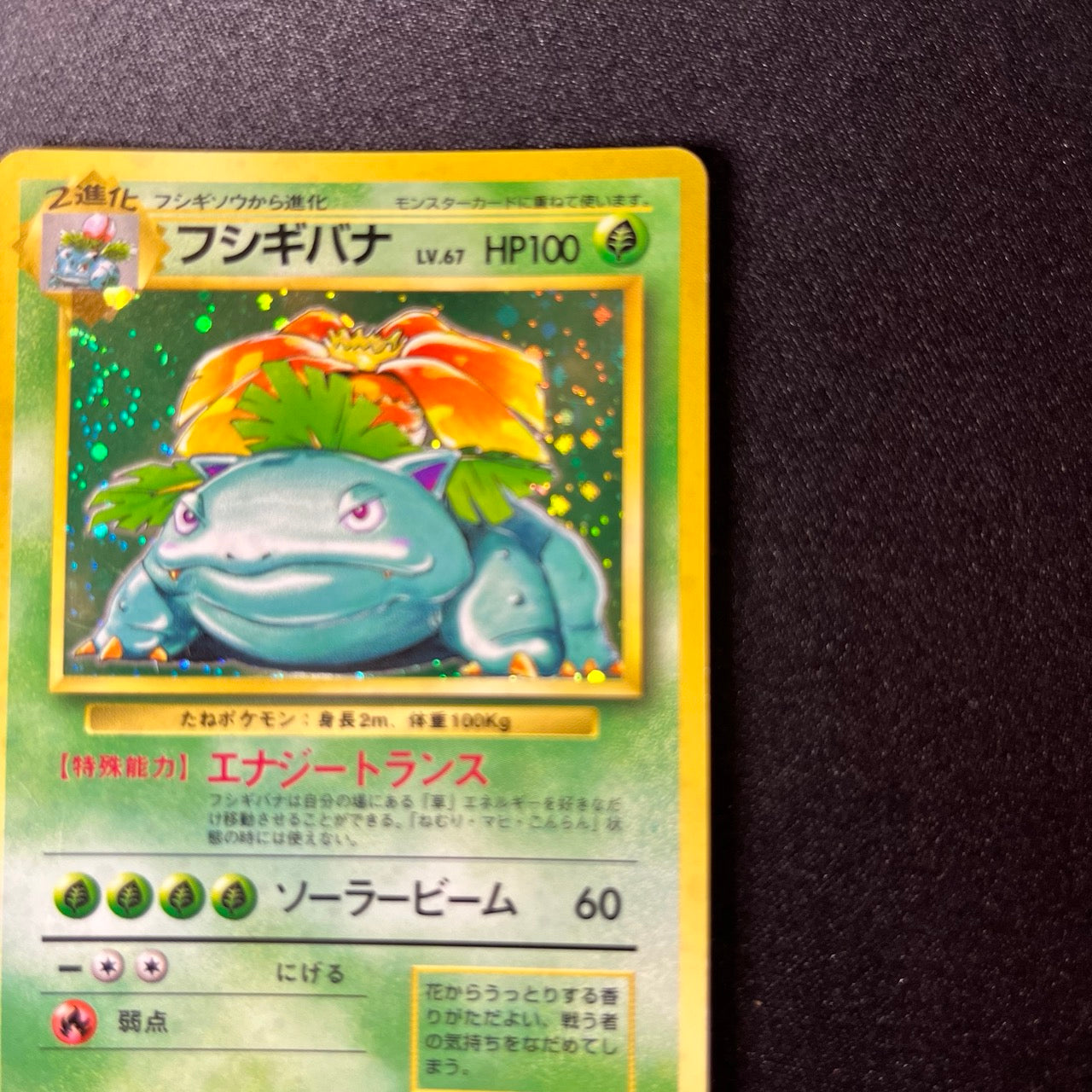 【✅Price⤵︎】 [Swirl] Venusaur 003 Base Set Old Back [LP+] (#156)