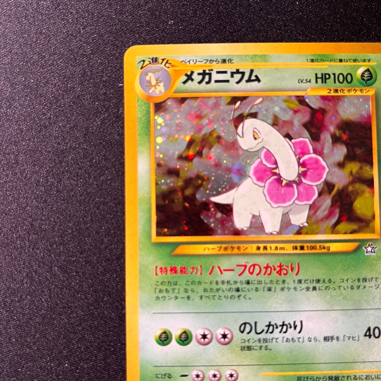 Meganium 154 Neo Premium File Old Back [NM-] (#66)