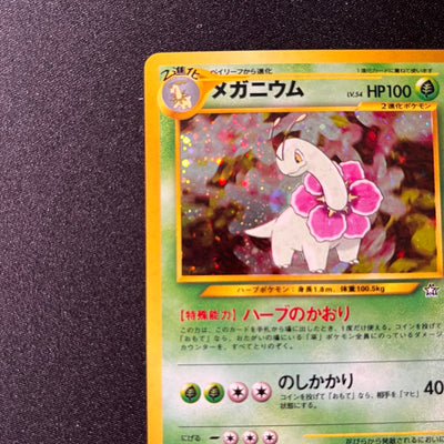 Meganium 154 Neo Premium File Old Back [NM-] (#66)