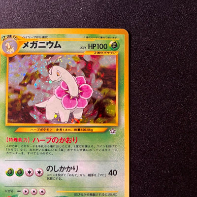 Meganium 154 Neo Premium File Old Back [NM-] (#66)