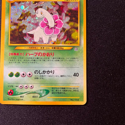 Meganium 154 Neo Premium File Old Back [NM-] (#66)