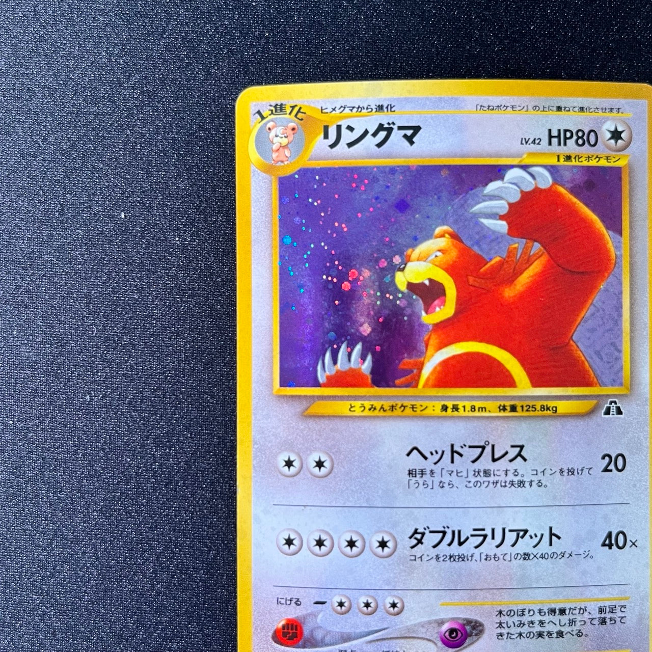 Ursaring 217 Neo Revelation Old Back [LP] (#81)