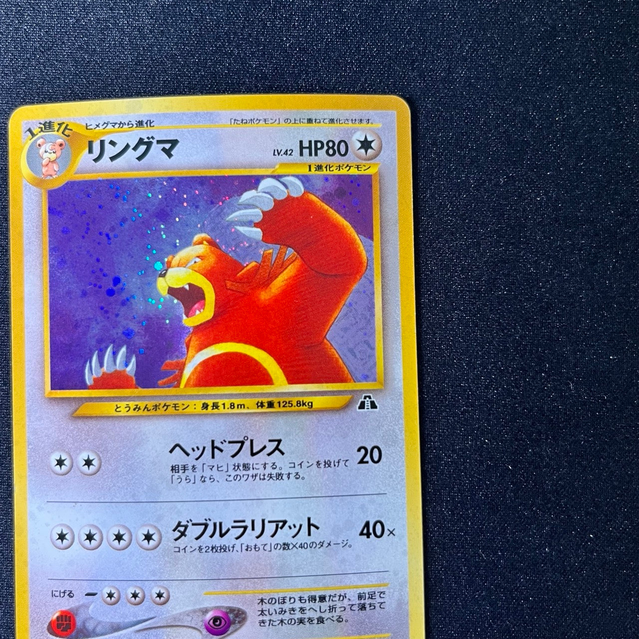 Ursaring 217 Neo Revelation Old Back [LP] (#81)