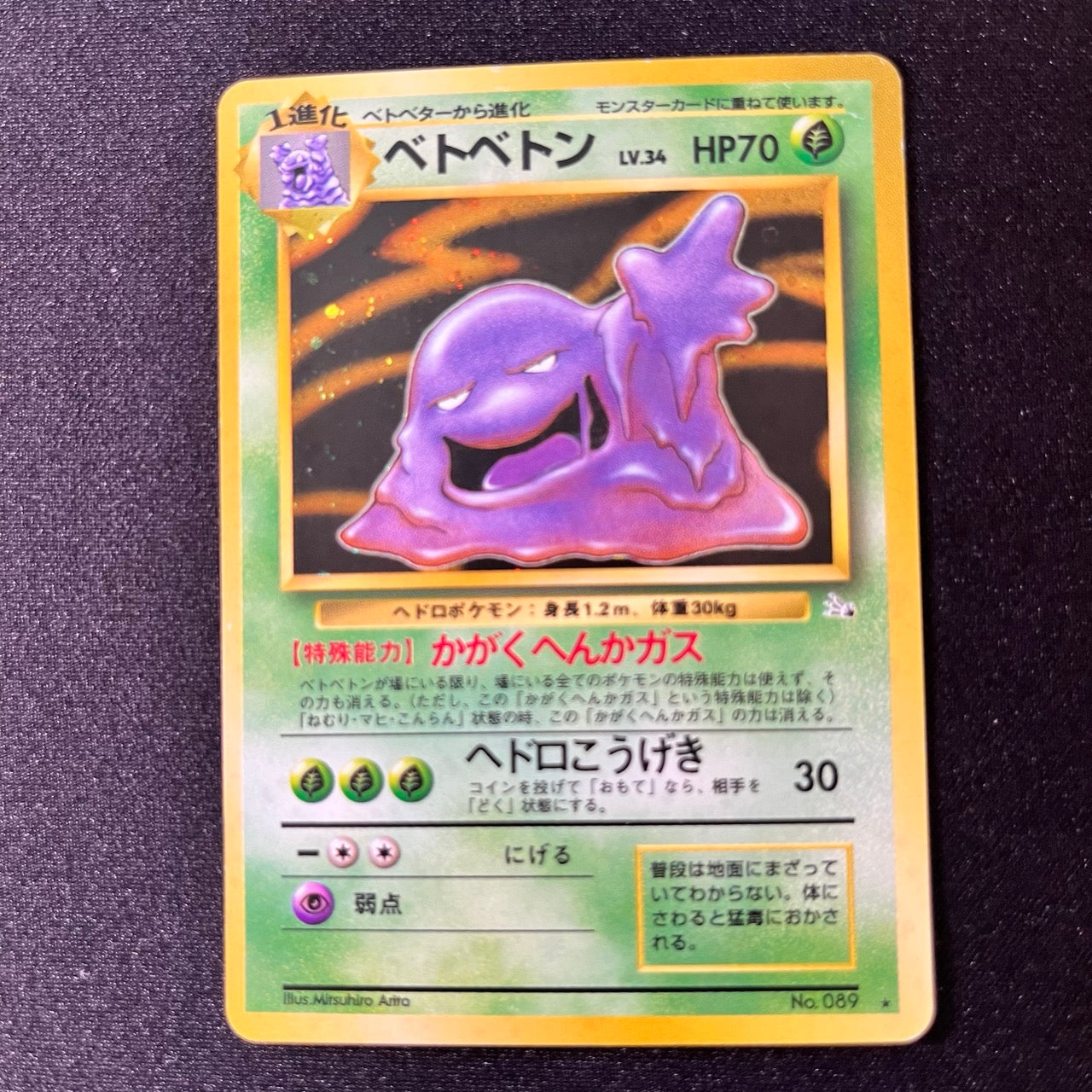 Muk 089 Fossil Old Back [LP-] (#90)