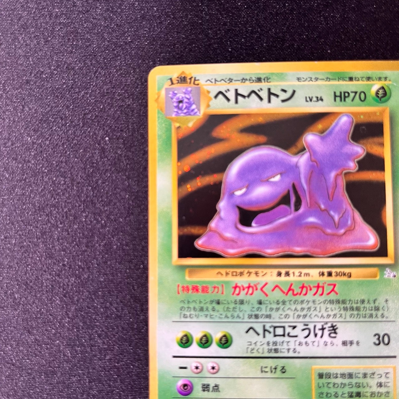 Muk 089 Fossil Old Back [LP-] (#90)