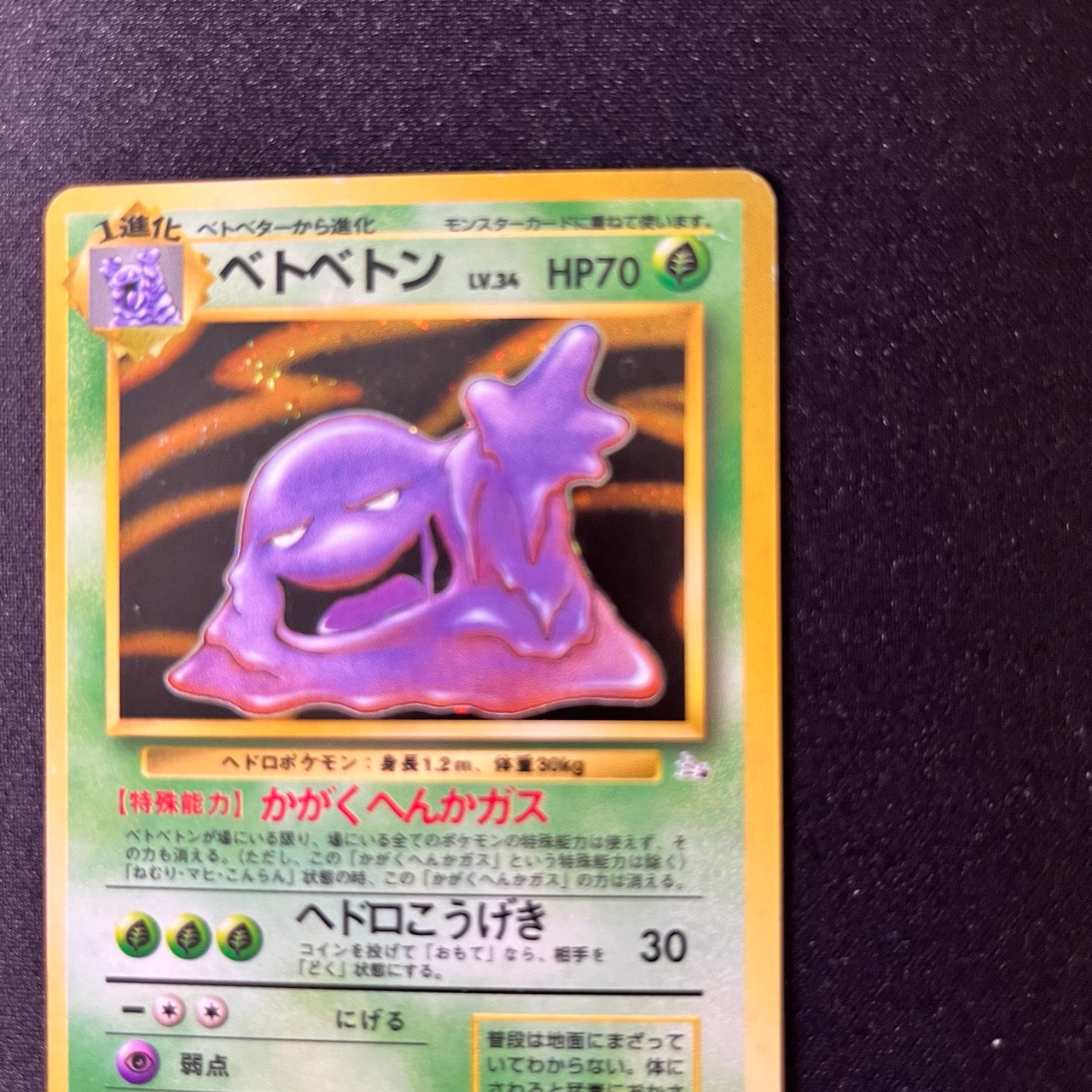 Muk 089 Fossil Old Back [LP-] (#90)