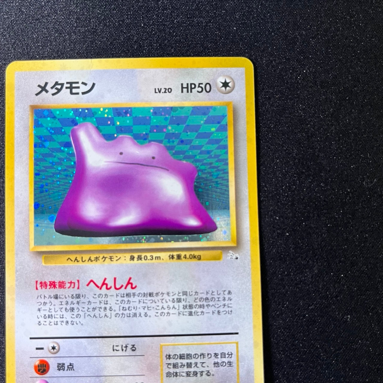 Ditto 132 Fossil Old Back [MP--] (#91)