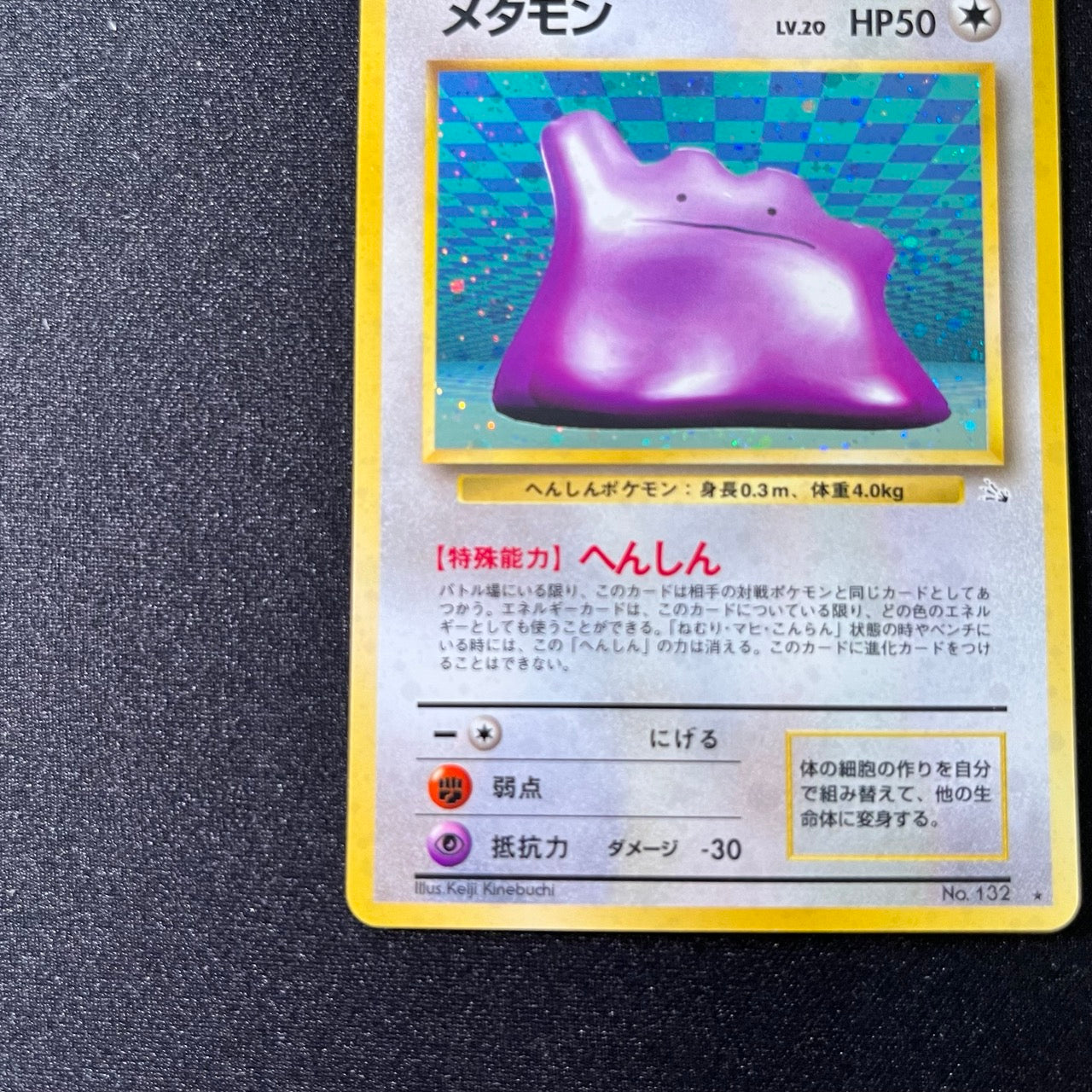 Ditto 132 Fossil Old Back [MP--] (#91)