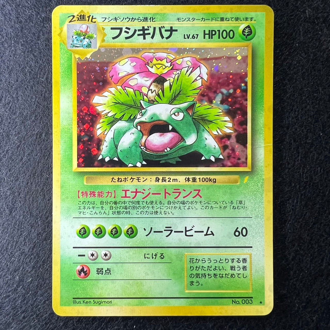 Venusaur CD 003 Old Back Holo Promo [MP] (#32)