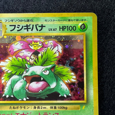 Venusaur CD 003 Old Back Holo Promo [MP] (#32)