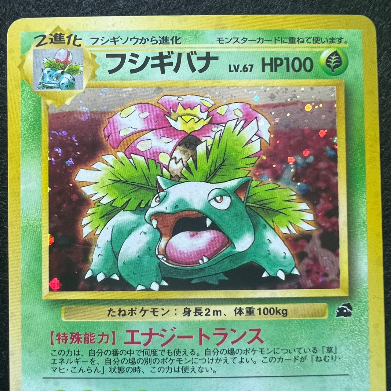 [2Set Swirl*] Blastoise 009 Venusaur* 003 Intro VHS Promo Holo [EX+] (#9)