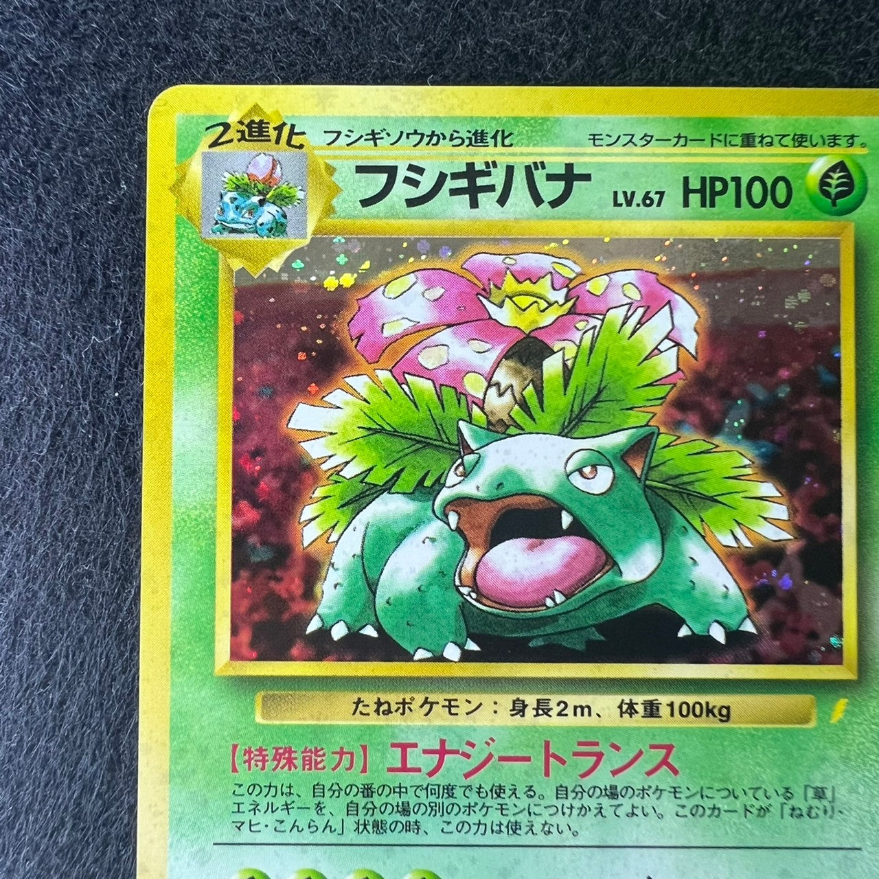 Venusaur 003 CD Promo 1998 Holo [NM-] (#26)