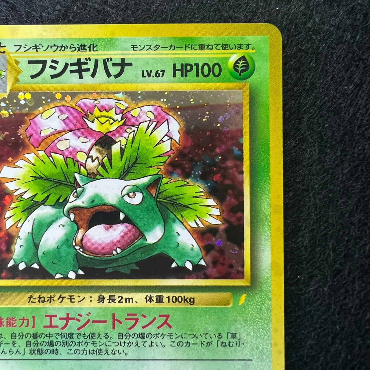 Venusaur 003 CD Promo 1998 Holo [NM-] (#26)