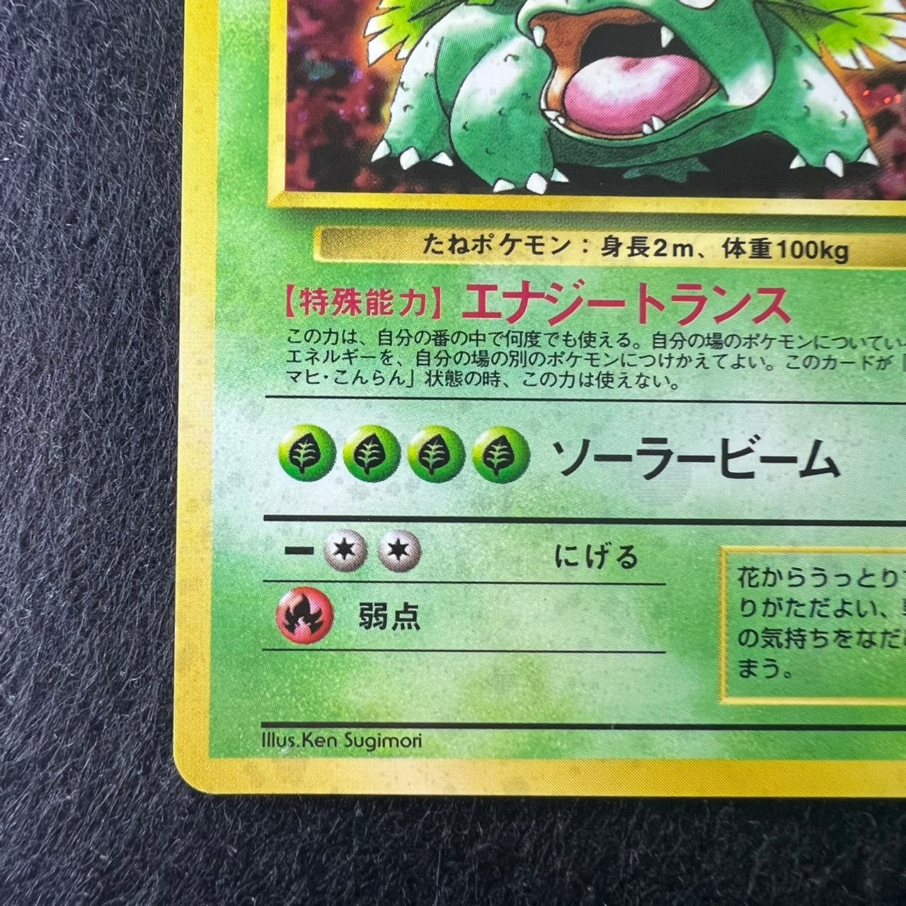 Venusaur 003 CD Promo 1998 Holo [NM-] (#26)